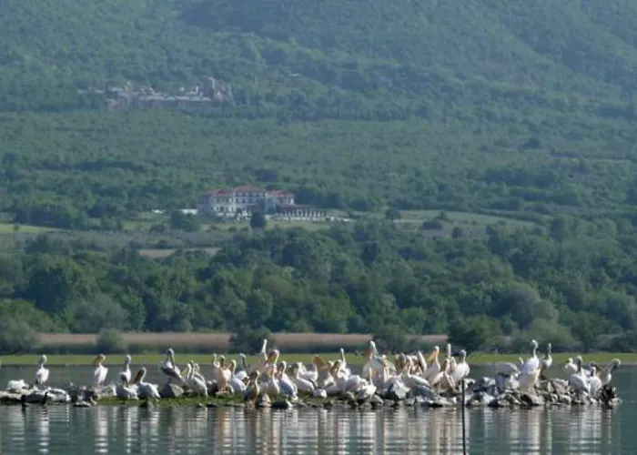 Belles Akritochori (Macedonia)